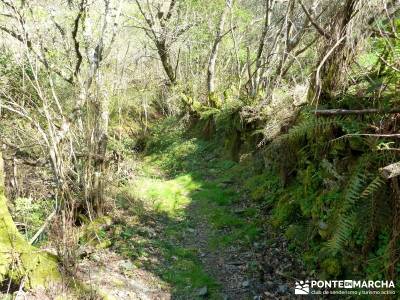 Sierra del Caurel (Serra do Courel) rutas y senderismo madrid grupos de trekking rutas por madrid